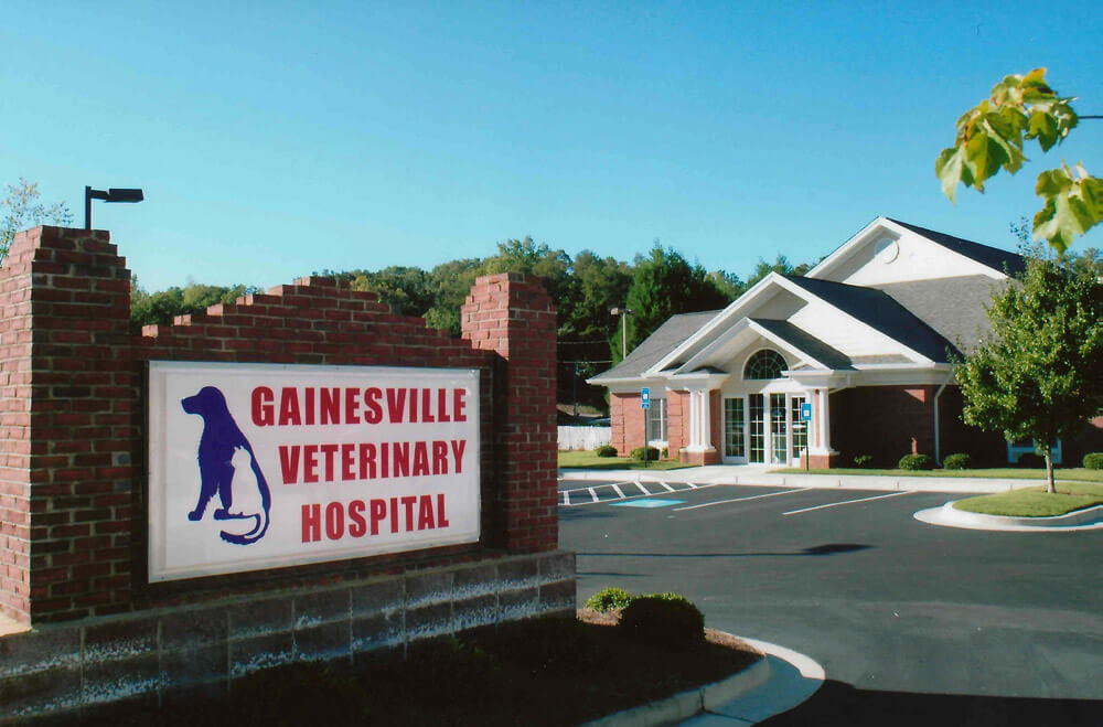 Best Vet Hospital In Gainesville, GA | Gainesville Veterinary Hospital