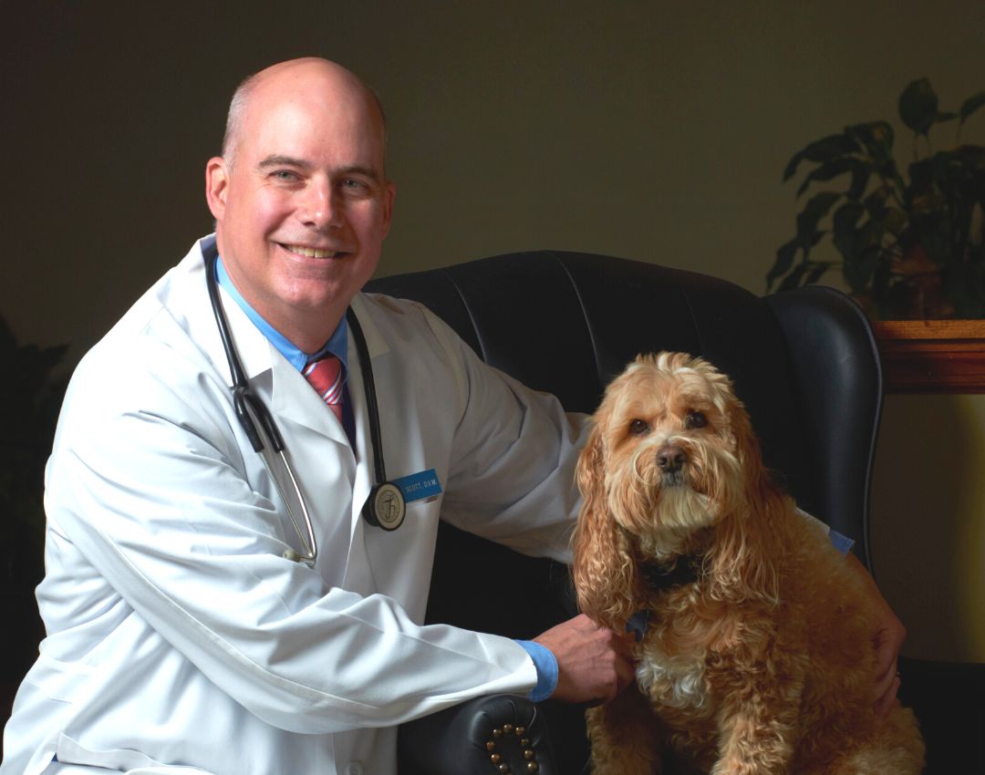 Gainesville Veterinary Hospital - vet services