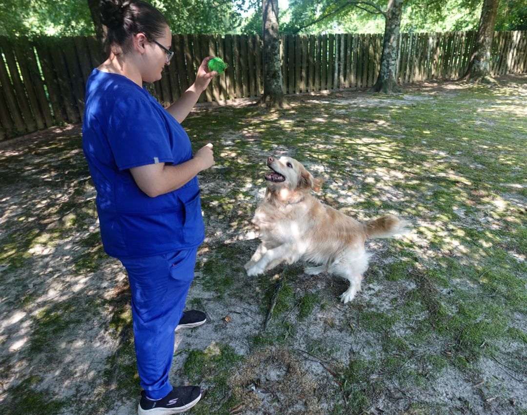 Staff with dog (1) Gainesville Vet Hospital - header images - contact